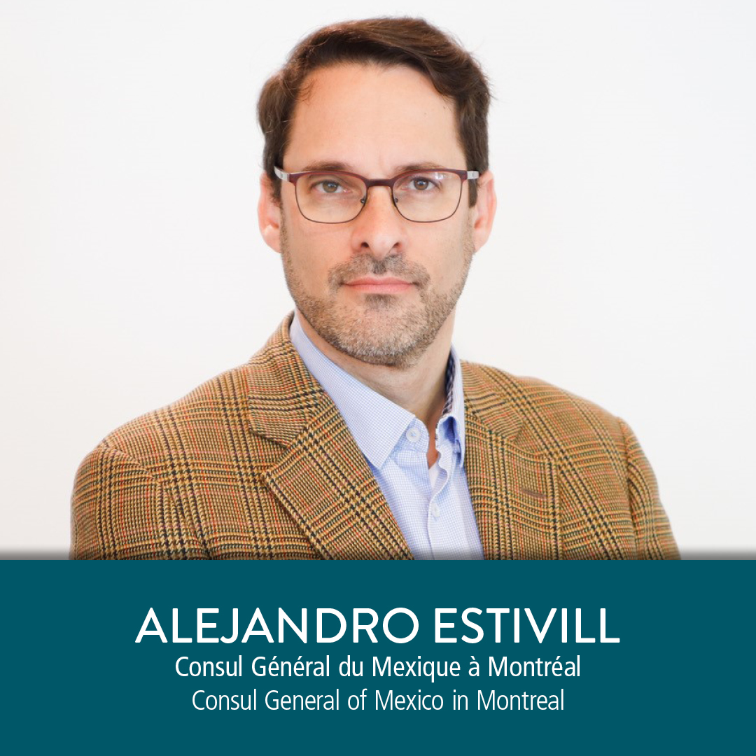 metropolisbleu tweet media