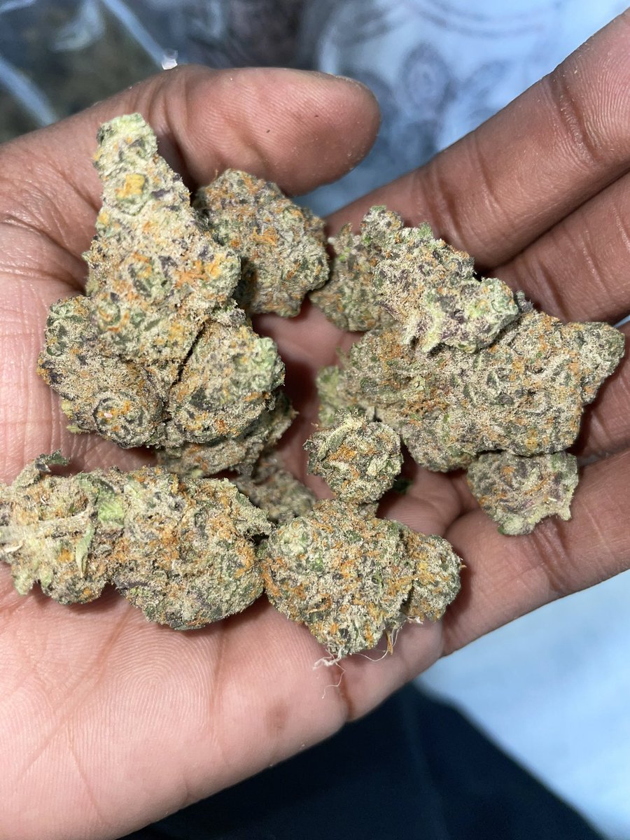 HoustonPlug600 tweet picture
