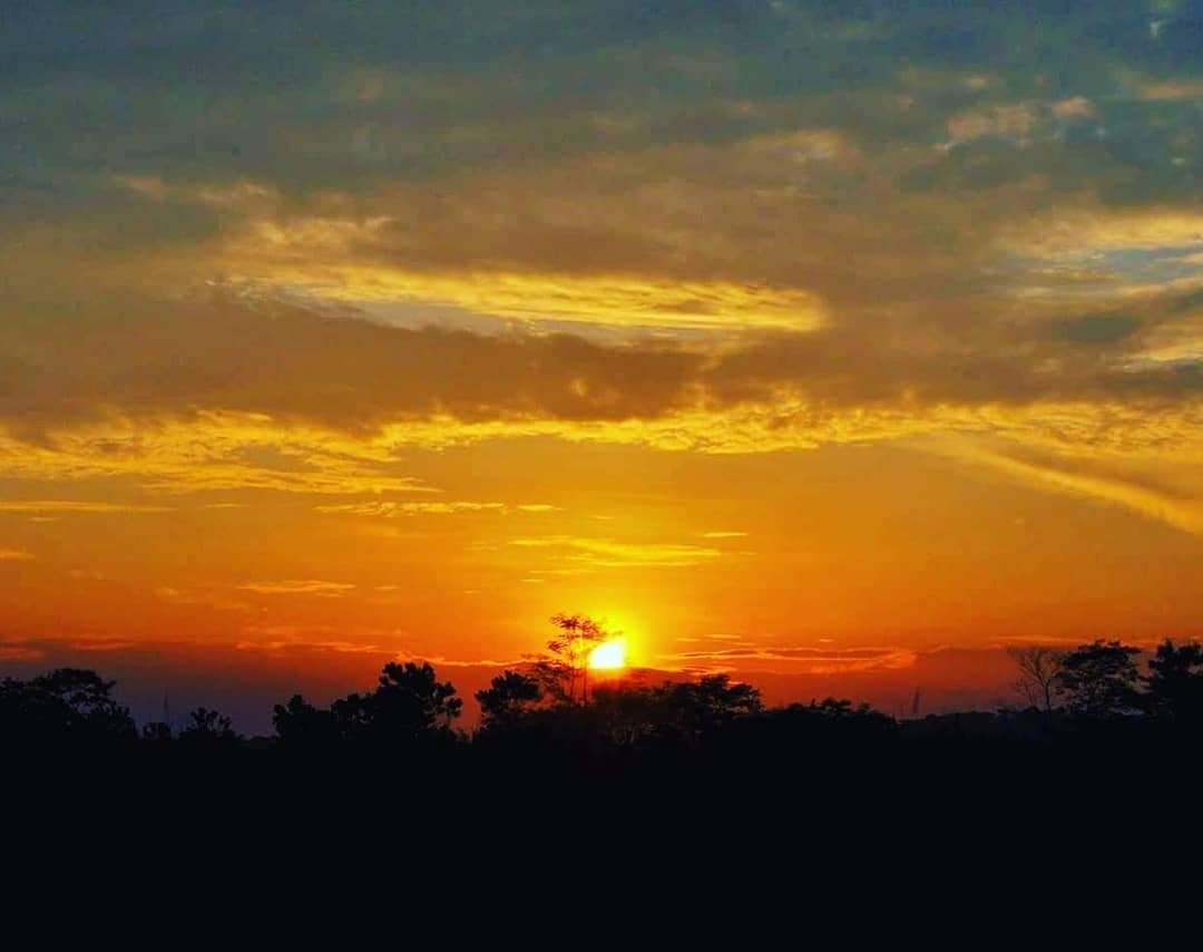 GringoRodriguez's tweet photo. After an awesome day...the night starts to arrive, and the #AmazonRainforest wakes up!
https://t.co/tyBrxkD9JH
#SunSet #AnacondaLodgeEcuador #TravelersChoice2022 #AnacondaIsland #AmazonJungle #EcoLodge #Ecuador #TripAdvisor #AmazonEcuador
@TurismoEc
@anaconda_lodge https://t.co/AJtNZHUXLL