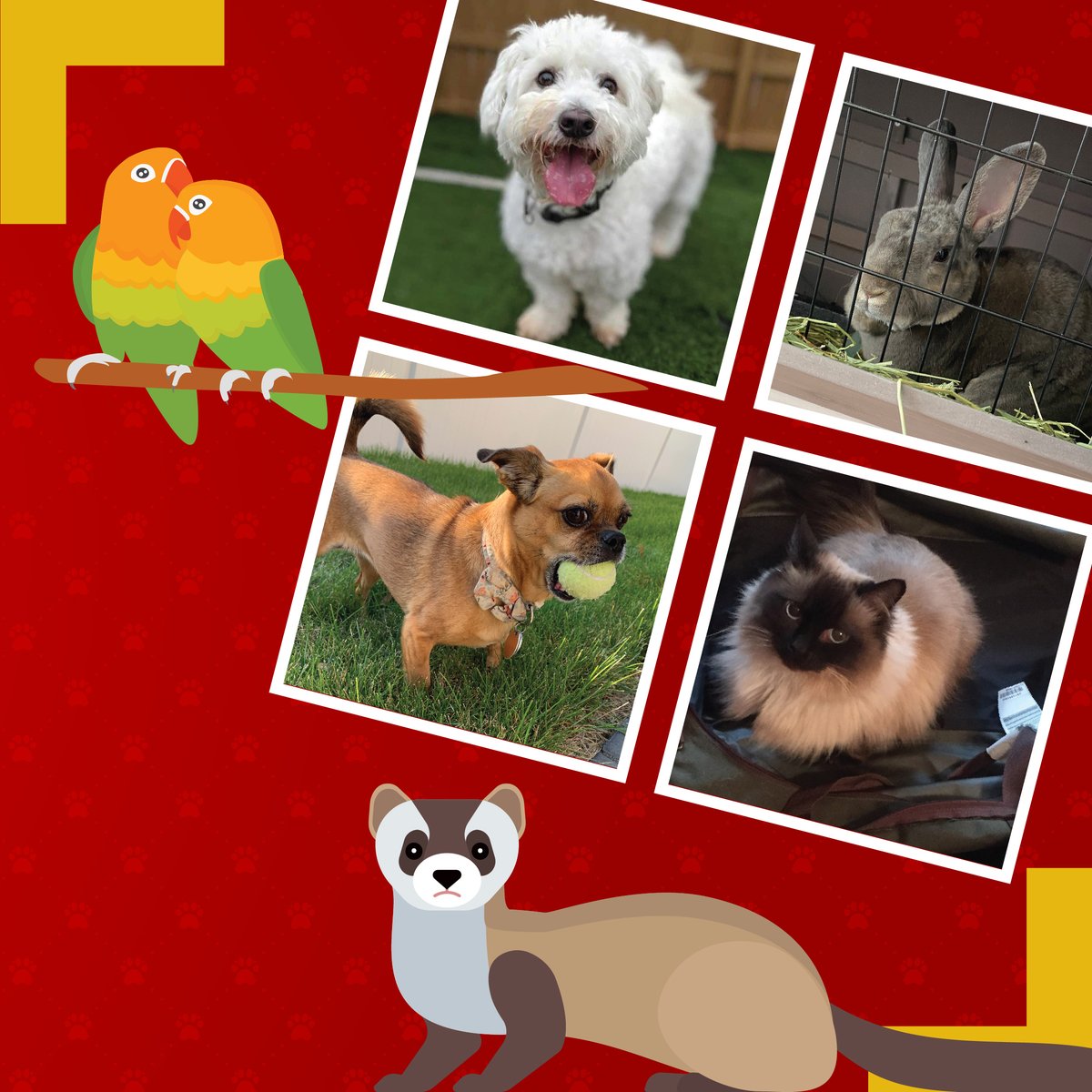 Bust out the treats and give your furbabies some extra love for #NationalPetDay! Here are some of the pawfect pets from our 2023 employee pet calendar to get your tail wagging.