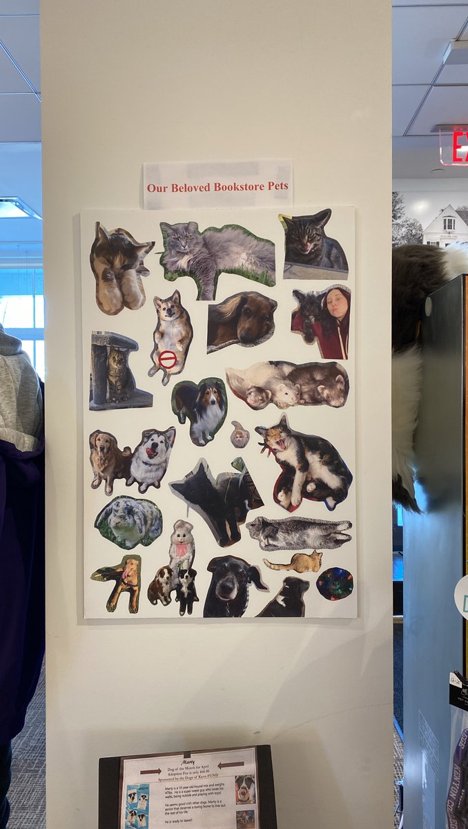 Kenyon Bookstore tweet media