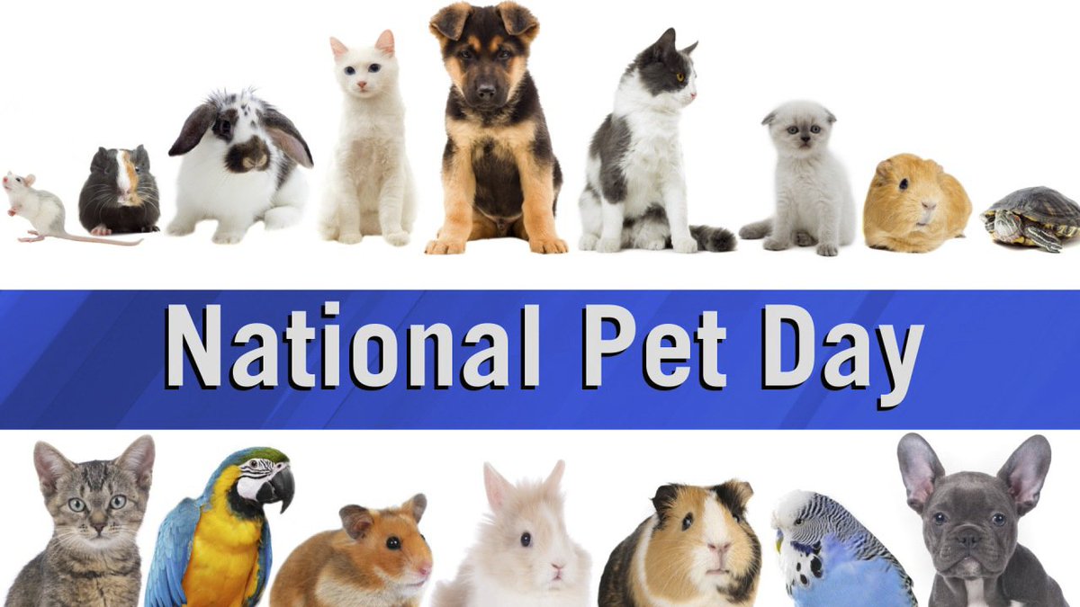 RegionalFlood's tweet photo. Let’s celebrate #NationalPetDay by sharing a photo of you and your pet on one of the many walking trails next to a #RFCD flood control channel. Be sure to pick up your dog’s waste to keep the trails clean and bacteria-free. #flood #floodcontrol #pooppatrol https://t.co/H7yfz7zOy3
