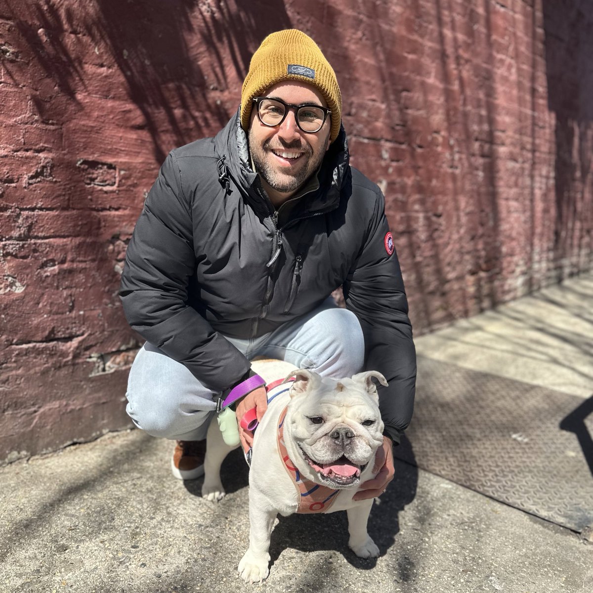 alexromano's tweet photo. Happy #NationalPetDay! https://t.co/uTysP4O29m