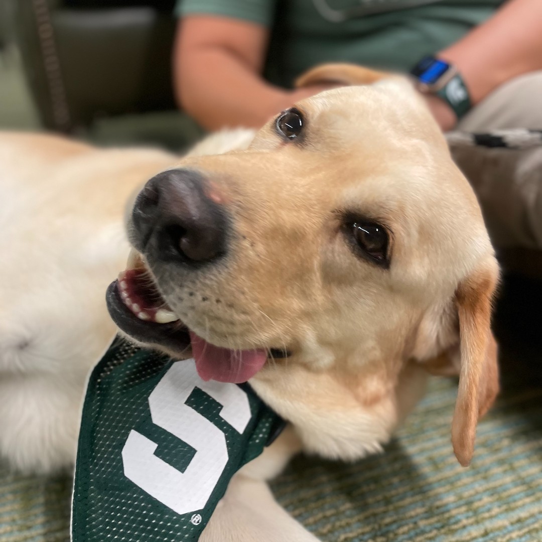 We appreciate the support we received last week at the Union; that includes the warm, furry snuggles and cold, wet nose kisses from our four-legged friend, Peanut, who acted as an onsite therapy dog, welcoming people back into the space.