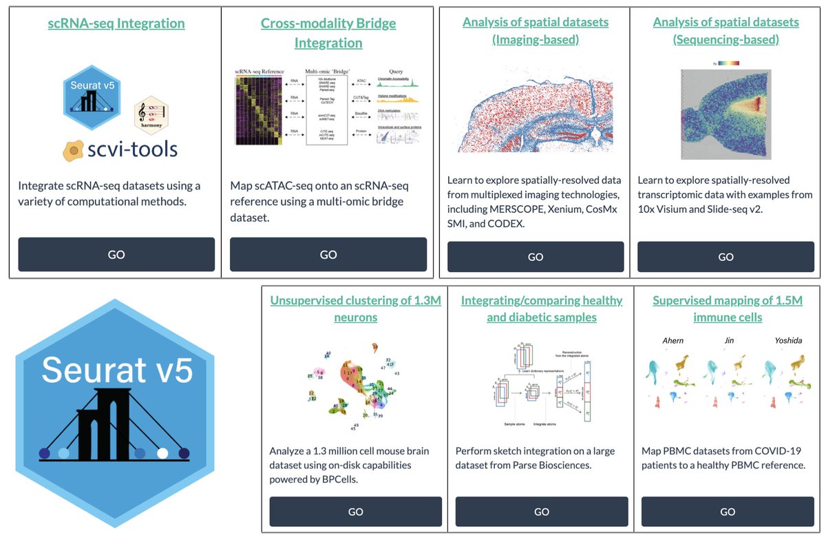 We are excited to release Seurat v5- with new methods for multimodal, spatially resolved, and massively scalable single-cell analysis. satijalab.org/seurat