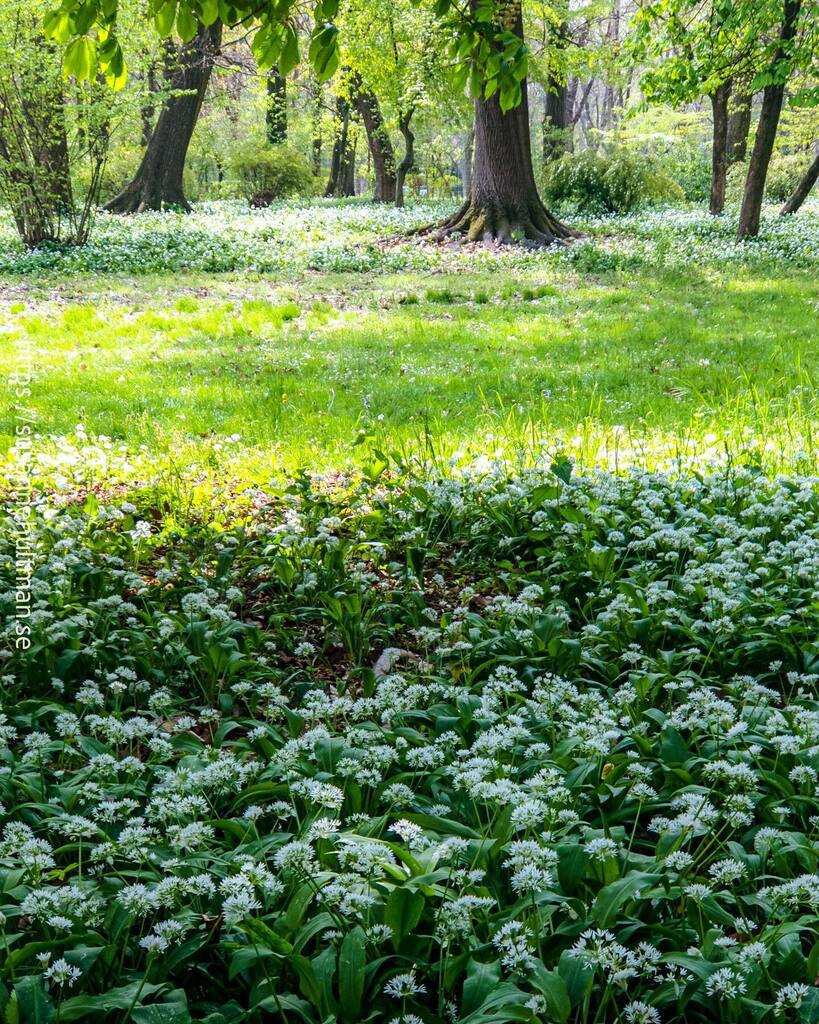 Susanne Hultman tweet media