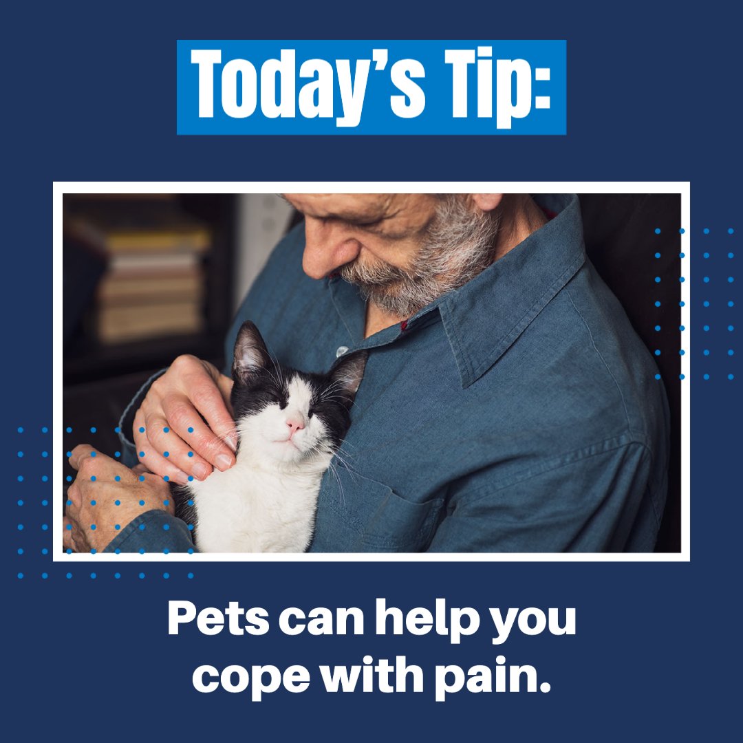 bamapain's tweet photo. It's #NationalPetDay &amp; we're sharing the benefits of having a pet if you suffer from #chronicpain. Studies show that being around your pet helps to improve your mood and make you feel more relaxed.
#bamapain #birminghampainmanagement #painrelief #alabamapainphysicians https://t.co/ynhBk8s8Lt