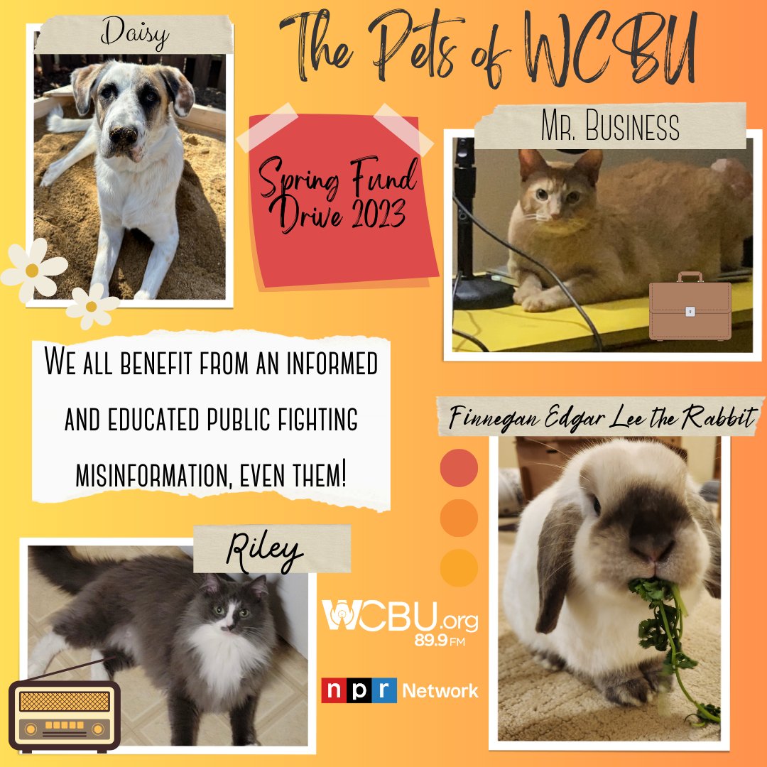 On National Pet Day, we want to shout out our four-legged friends who are avid NPR listeners. They know that we ALL benefit from an informed and educated public, which is why they contributed to the WCBU Spring Fund Drive and want you to do the same! WCBU.org/Donate.