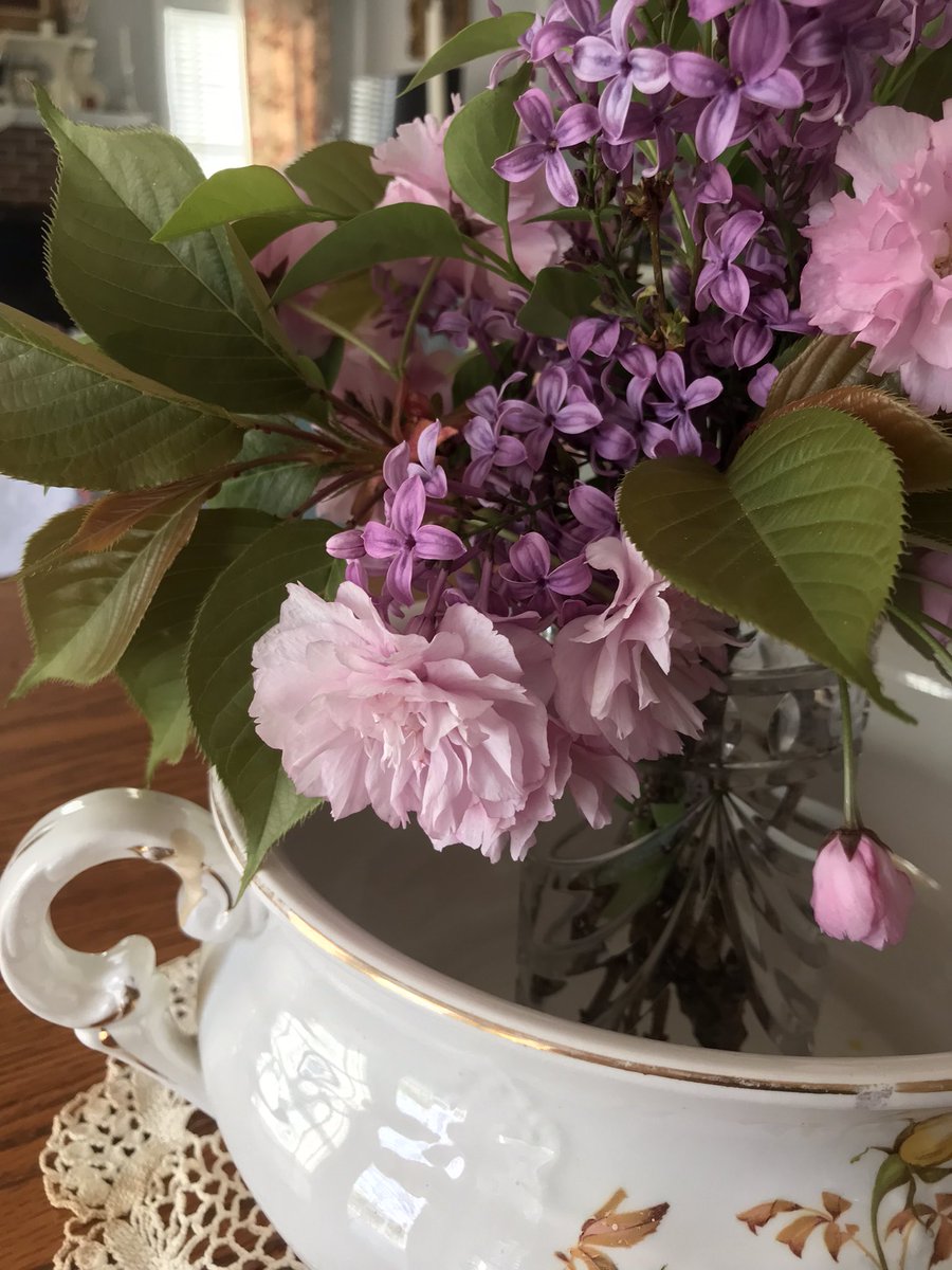 theemptynest's tweet photo. This world of ours can be so ugly sometimes. It’s important to hold on tight to every little bit of beauty you can find💗 For me this morning, it’s my lilac bushes and cherry trees that are making me smile and feel slightly hopeful. #embracethebeauty #behopefull https://t.co/443njnScJJ