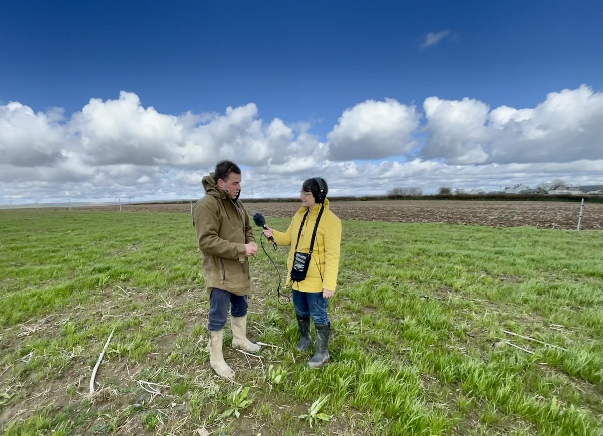 IFarmers's tweet photo. ๐ขExciting news - one of the #fieldlabs will feature on #FarmingToday at 6am tomorrow!
Tune in to hear from @savethewhaley, farmer Richard Stanbury & @soilassociation advisor @jerryalford123 talking about diverse forage vs monocultures and the importance of #farmerled research๐ฎ https://t.co/GIkqntw7g7