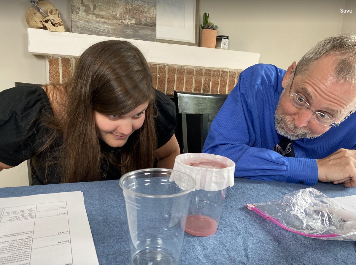 NHGRI_Director's tweet photo. Did you know that you can easily extract DNA from a strawberry -- in your kitchen? While you can technically extract DNA from any plant or animal, strawberries work really well for this! https://t.co/fhzrD0vzpn