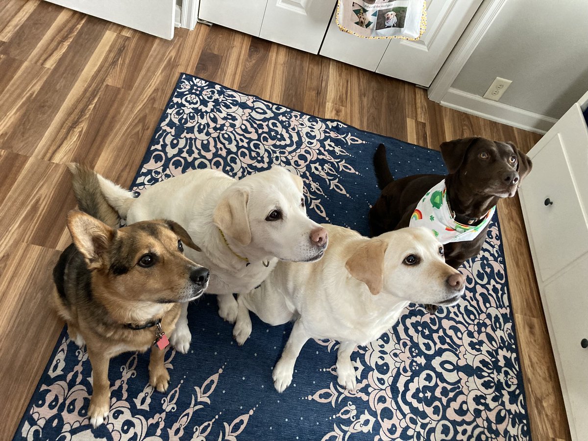 I am Lena’s mom tweet media