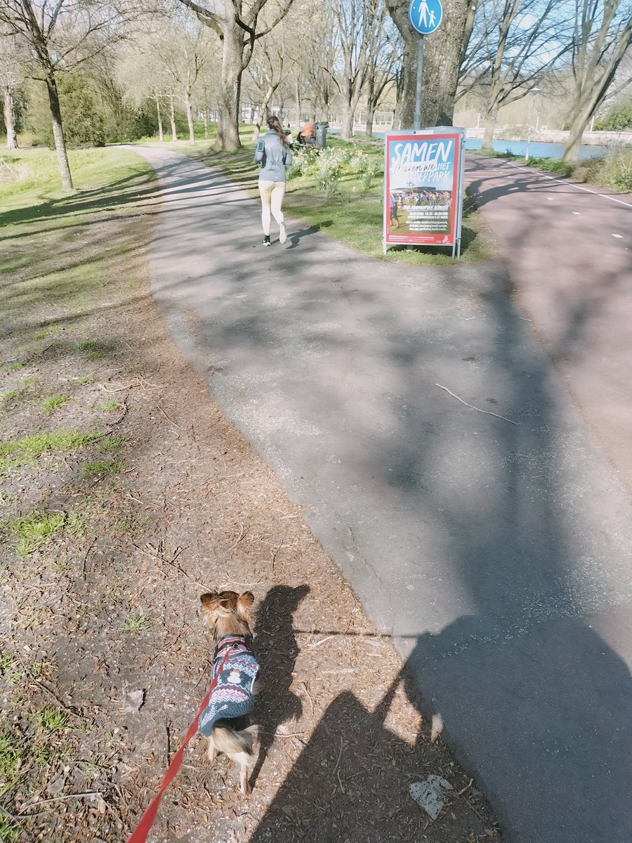 Sampfan's tweet photo. #littleterror be like: ' forget about da beach, I wanna poo in da #park so now we're in #noorderpark https://t.co/6M1ty1XaZi