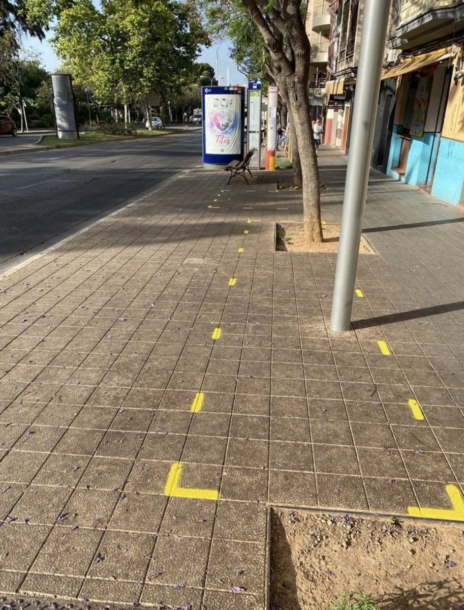RayaTerrazas's tweet photo. Cuando @ajuntpalma permite que en en una parada de bus @EMT_Palma se instalen 2 terrazas de bar pasa esto: que se pone en riesgo la seguridad de los usuarios del transporte público. Av. Argentina #Aquanauta #Perrito ¿Dónde estan los límites @hila? https://t.co/0V98aDFs8Y
