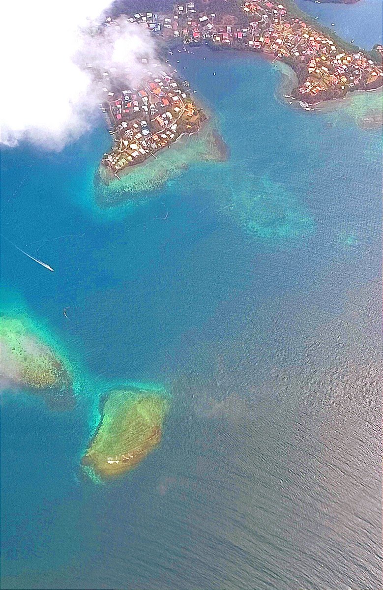 ClemtBouvier's tweet photo. Amazing view from the sky in #carrabean. A great variety of #coastal #environment! https://t.co/wOfClnzYje