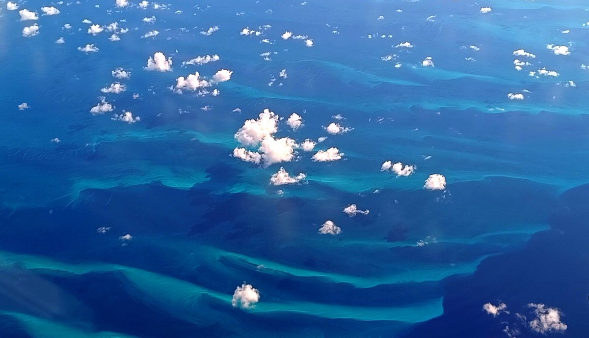 ClemtBouvier's tweet photo. Amazing view from the sky in #carrabean. A great variety of #coastal #environment! https://t.co/wOfClnzYje