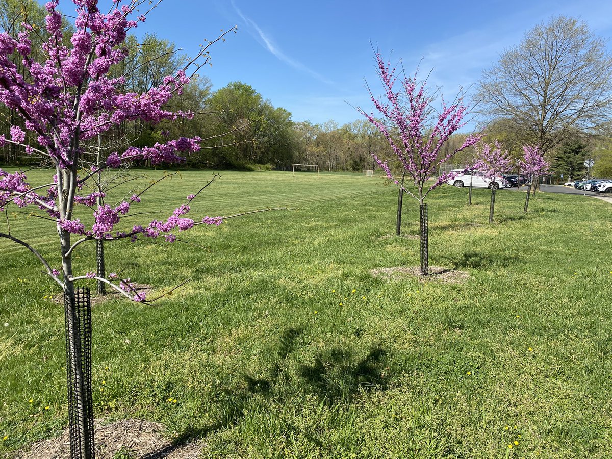 Tim Slayter tweet media