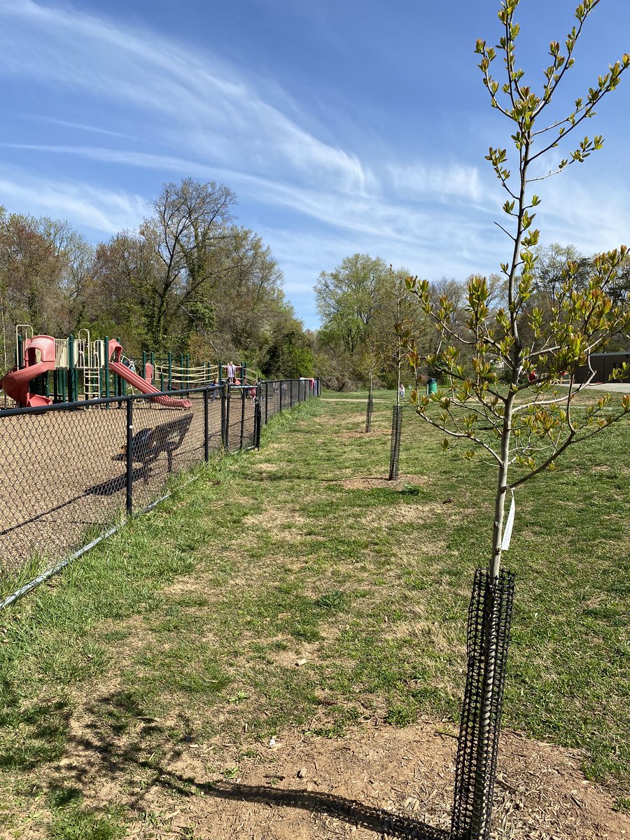 Nice honor for Fort Hunt Elementary!Over the last 2 years we have planted 20 native tree species on school grounds, with more to come!