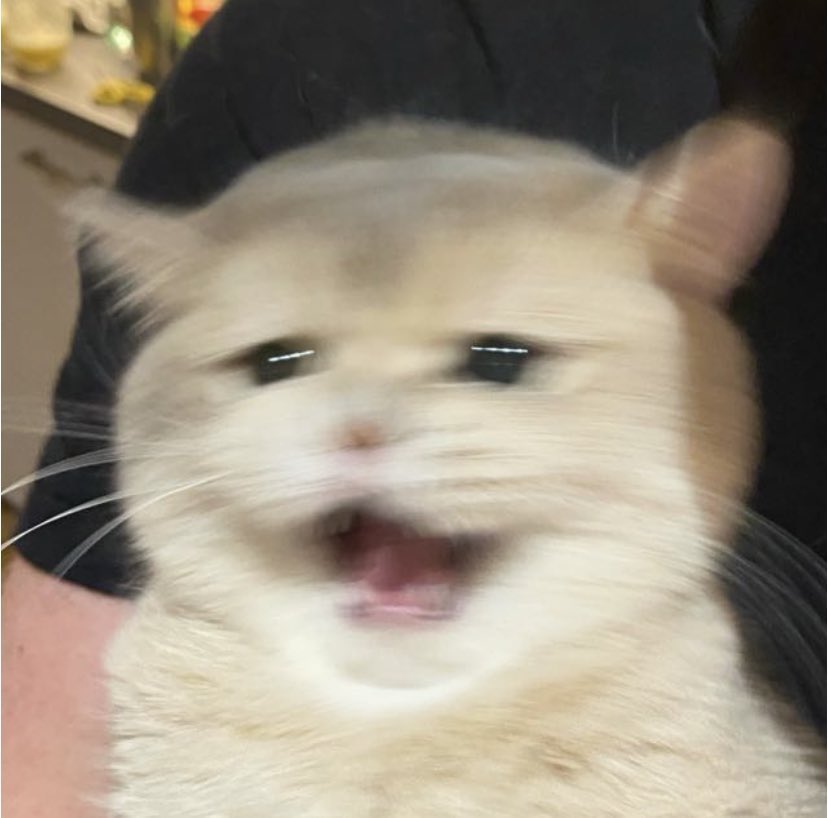 blob_izzy's tweet photo. #namemc #traffictwt I KNOW JIMMYS GONNA BE OUT, BUT I REALLY WANT SOMEONE ELSE TO BE OUT FIRST, MY DEAREST BPY CANT BE OUT FIRST AGAIN SJDNDG I
N E E D HIM TO BREAK THIS CANARY CURES PLESAESSSS EVEN IF HES SECONF OUT, ILL STEELE FOR TYAT JUST PLEASR https://t.co/ssNAzcUqsV