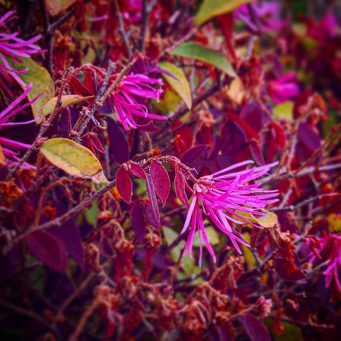 IR_Chief's tweet photo. #PortfolioDay
I just want to attempt to be seen too. #photography #design #artist
https://t.co/y25oABNcLU https://t.co/6yko7thkdC