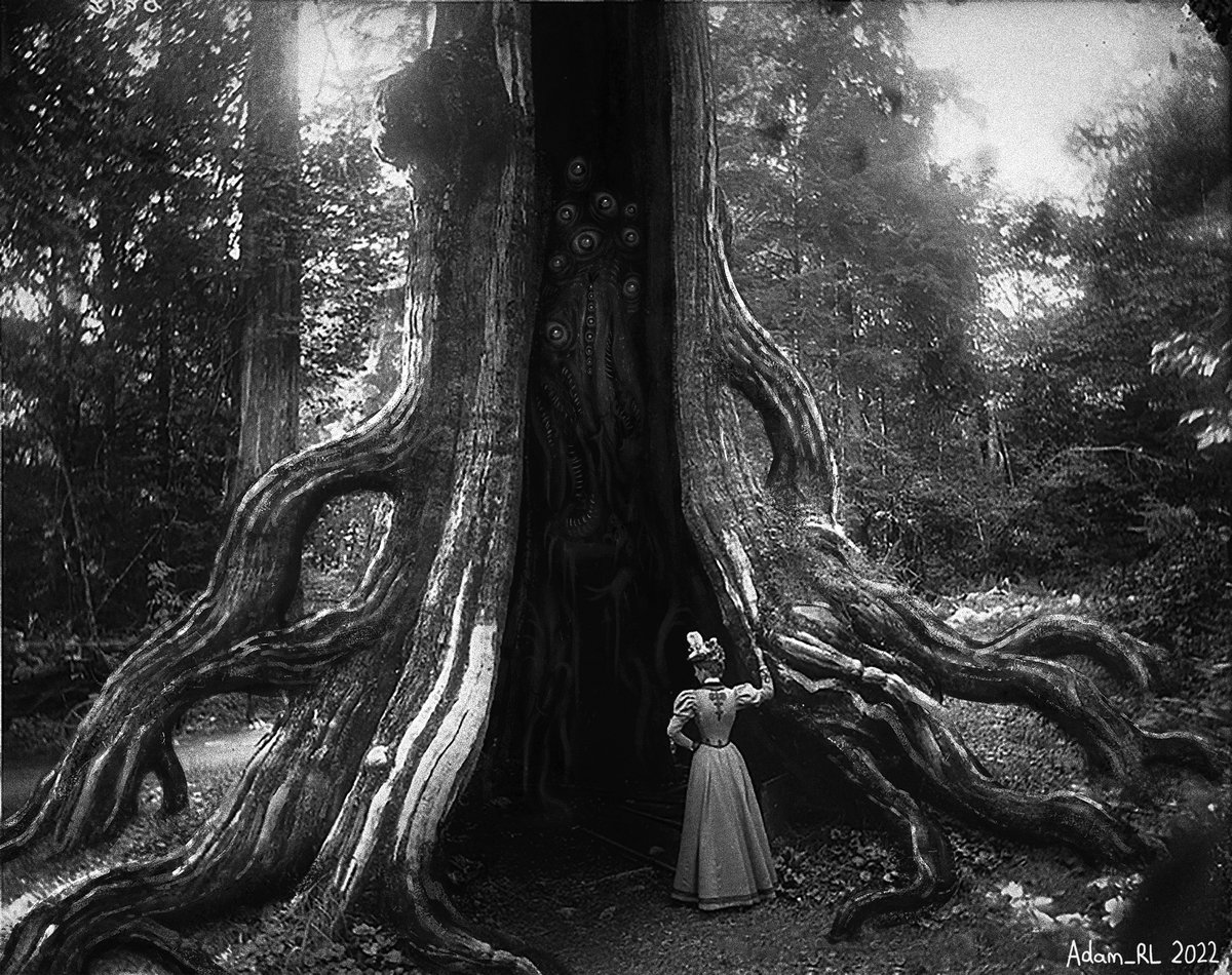 Hello #PortfolioDay! 

My name is Adam and I'm a freelance illustrator/ concept artist. I'm interested in the natural world, creature design and horror! 

Portfolio: artstation.com/adam_rl
Commissions Page (shows price estimates/ examples): artistree.io/request/adamrl