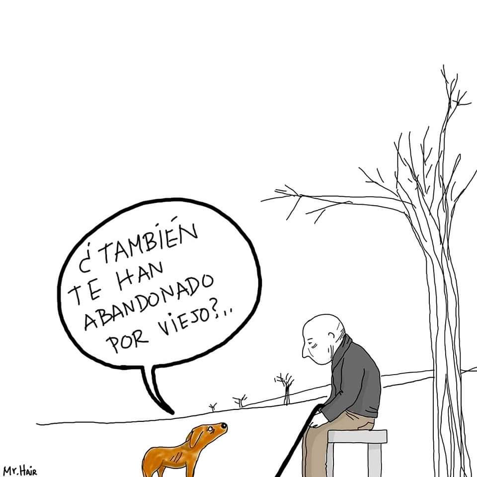 Perrosenlacalle's tweet photo. La vejez no es motivo para abandonar a algún ser vivo 😡 https://t.co/vZW4tzTbJj
