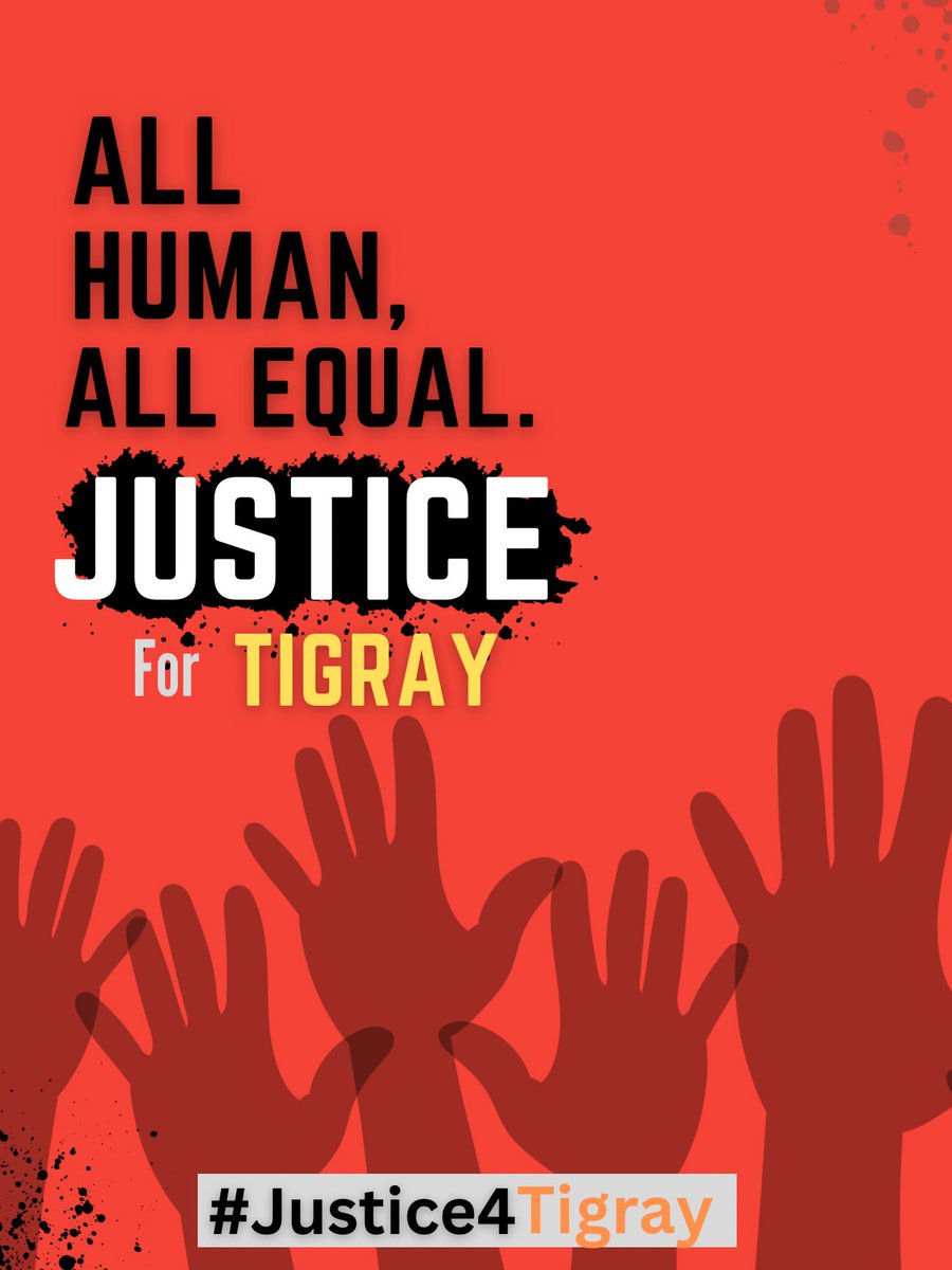 📣For almost 3 years, #Irob_Tigray have been subjected to unimaginable pain & suffering:,famine , weaponizedrape ! looted towns/homes , destroyedhospitals , razed farms , desecrated holy sites #EritreaOutOfTigray #Justice4Tigray @UNReliefChief @USUN @USAID @SecBlinken @UN_HRC @UN