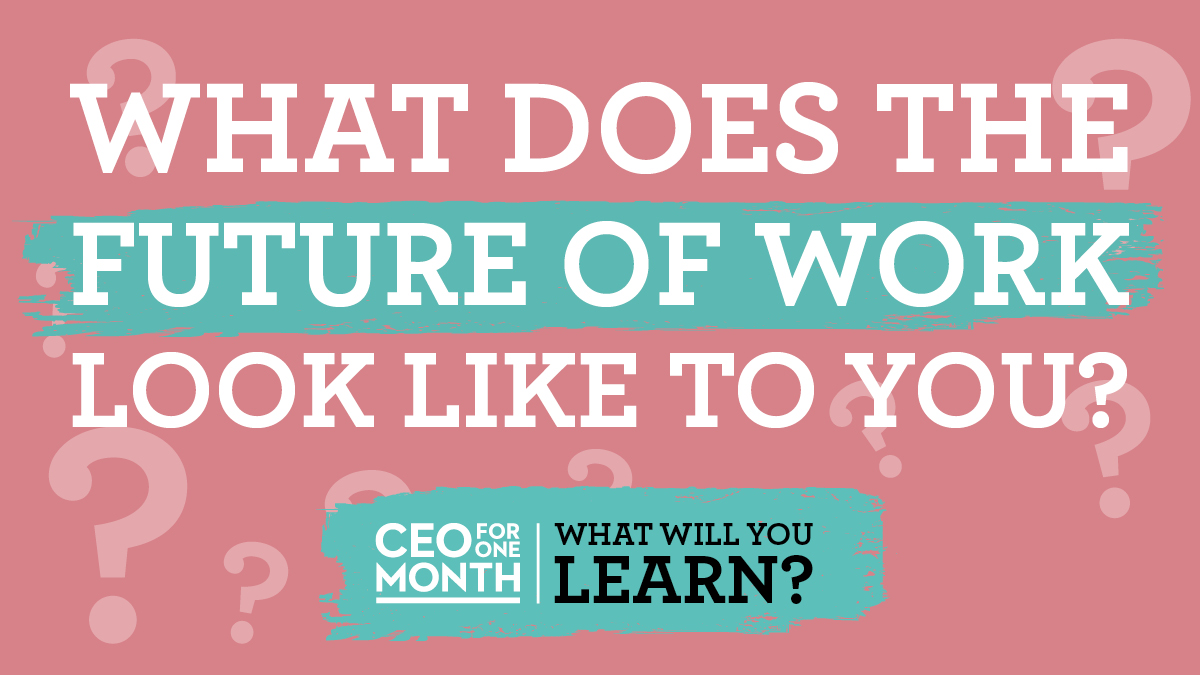 CEO for One Month tweet media