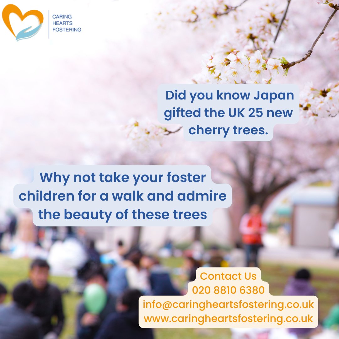 When you foster with us, we at
Caring Hearts Fostering will try and assist you in
planning days out for you and your children, because
we understand that fostering is a team task! Check out
the link for this weeks activity,
royalparks.org.uk/whats-on/blog/…
*
*
*
#fostercarer #fosterfamily