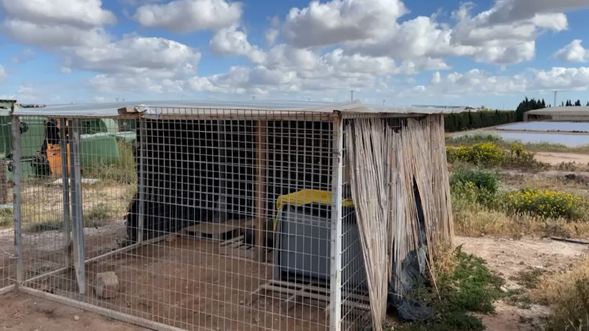 tuweb_tv's tweet photo. 🖨️▶️ El PSOE de San Javier denuncia la falta de medidas de protección animal en el municipio. 22.00h #ActualidadInformativo Canal 1 Mar Menor-TP https://t.co/60sW3wjc7X