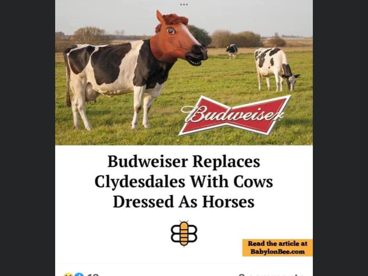 TewJody's tweet photo. #Budlight https://t.co/tCgvEMaWem