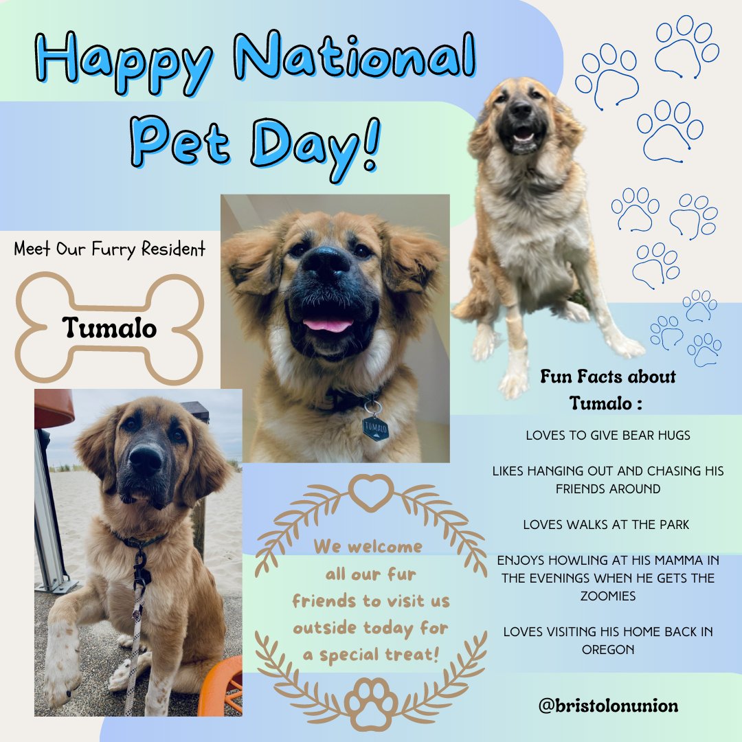 Did you know it's National Pet Day?! We look forward to celebrating with all our furry residents today! Meet us outside today for special treats and refreshments! 🐾
#FogelmanProperties #TheBristol #memphistn #choose #midtownmemphis #ilovememphis