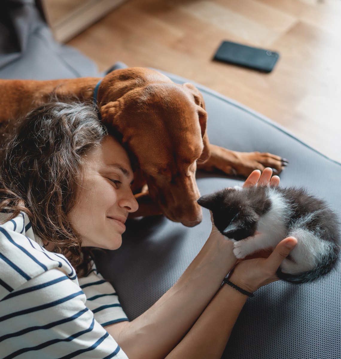 The unconditional love from our pets is a special kindness that has the ability to heal. This #NationalPetDay, give an extra cuddle to your furry friends who provide support year round. Share a picture of your pet in the comments! #Hellohumankindness