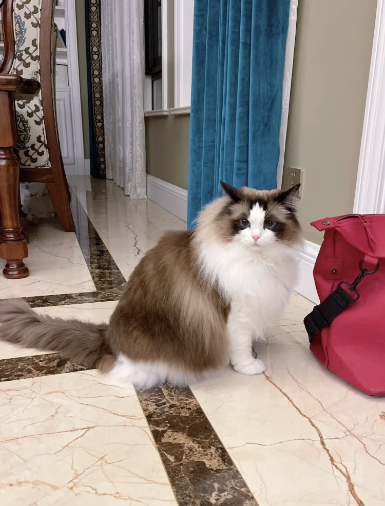 The baby is fine today and loves to sleep with me