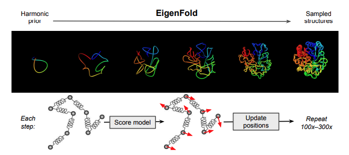 KevinKaichuang's tweet photo. A diffusion model that predicts structural ensembles from protein sequence. 

Bowen Jing, Ezra Erives @peterpaohuang @GabriCorso, Bonnie Berger, Tommi Jaakkola

https://t.co/ZLthLX9u38 https://t.co/0ogTkmjz5r