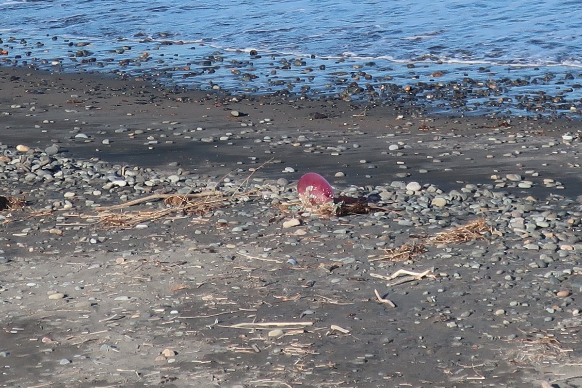 brayan - ぶっさん tweet media