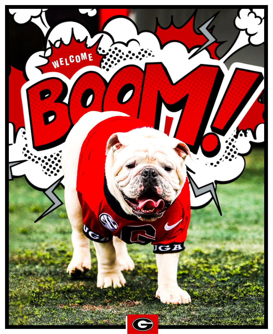 Georgia Bulldogs on X: Welcome, Boom! We can't wait to have you on the  sidelines as Uga XI! Join us at approximately 3:50pm this Saturday at G-Day  for his collaring ceremony. Read