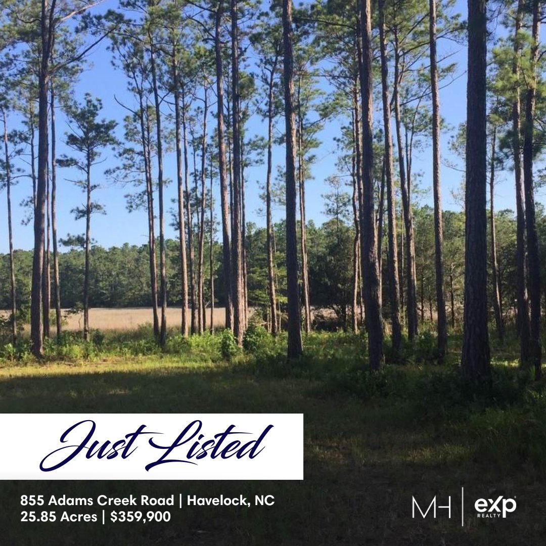 MartiHamptonRE's tweet photo. Just Listed in Havelock✨

Attention Developers, Builders, Farmers, and Homesteaders! Check out this amazing listing in Craven County.

See more at: https://t.co/FGs2enmtbo
:
::
:::
::::
#Raleigh #RaleighRealEstate #HavelockRealEstate https://t.co/uOG4ftPiRp