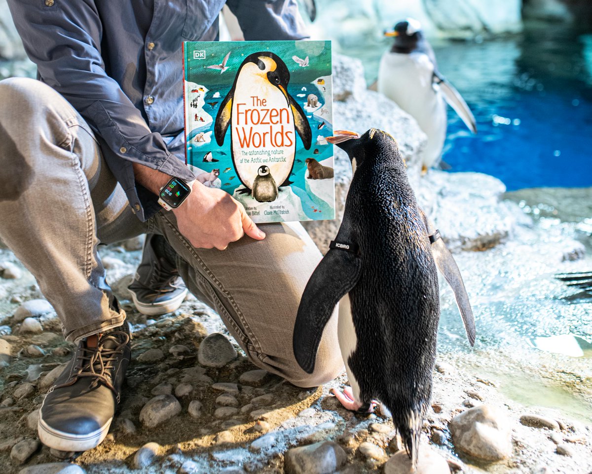 Take your little one on a fascinating sub-zero journey across Earth’s Arctic and Antarctic! Read as polar bears and penguins glide and dive across the pages of this colorful book. Frozen Worlds is out now! geni.us/4dmT @PghZoo @bittelmethis