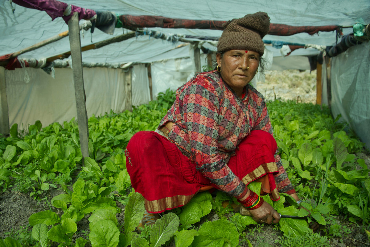 "Despite being successfully practiced by millions of farmers across the world, #agroecology is significantly underfunded &amp; not supported in national policies and
budgets.

Read our assessment of public spending on #agroecology in #Nepal &amp; #Cambodia👉 bit.ly/43lDMxp