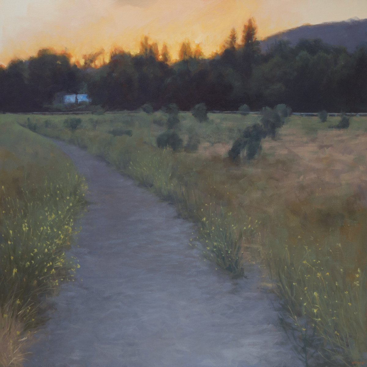 RJOlivergallery's tweet photo. https://t.co/lNe1D3jx3H