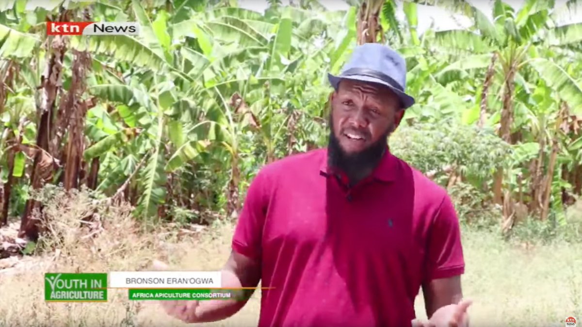Our beekeeping training was on air &amp; has been receiving +ve feedback from viewers. We offer training programs that equip you with the necessary skills to start &amp; manage your business successfully. youtu.be/5jK99pD8BWI

info@thesourceplus.org
info@africahoneyconsortium.org