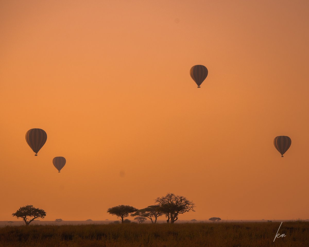 This is must do while on your safari! We have done hot air ballooning before and this was the best experience we've had!#balloonride #wildlife #travelphotography #hotairballoon #tanzania #serengeti #naturephotography #wild #animals #tanzania #safari #africa #balloonsafari