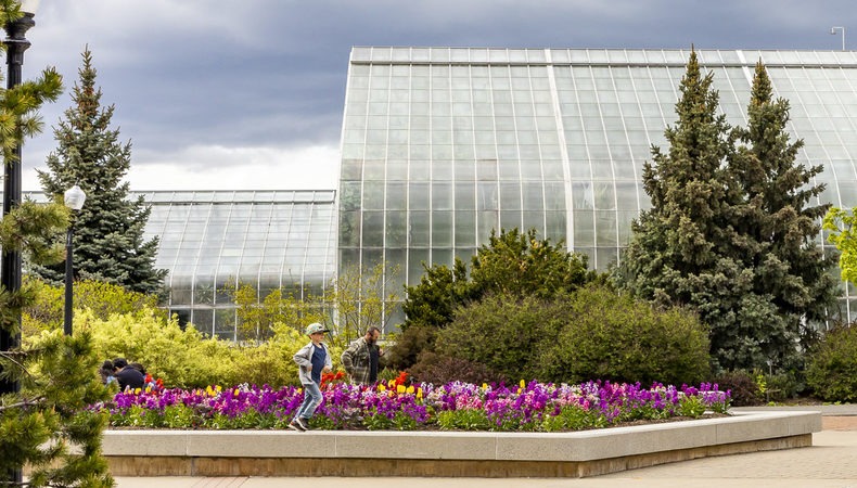 Mon Montréal tweet media