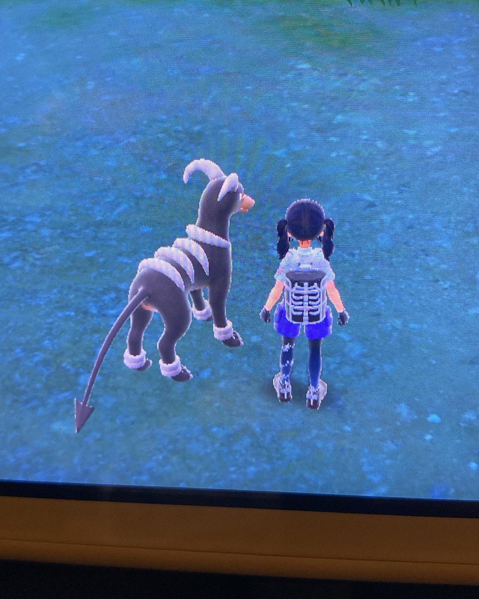 KAY on Twitter: "Gym leader fit"