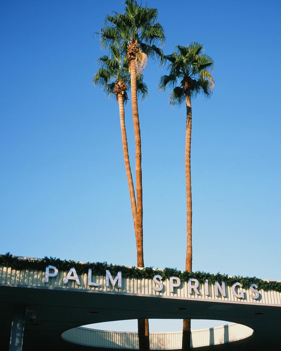 ModernismWeek's tweet photo. Spring has sprung, and there's no place like Palm Springs to enjoy the natural and architectural sights this season. Explore the best of the city during the Architecture Tours by Modernism Week, now through May 2023: https://t.co/sy91T9HpUZ (📷: #PSModSquad Alec Leibsohn) https://t.co/lftv0EMNJK
