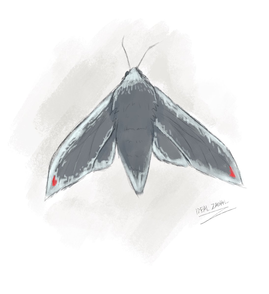 IDEAL_ZAIN4L's tweet image. Su-57 &quot;Felon&quot; themed Hawk moth (art practice). #artwork #digitalart #mothart
