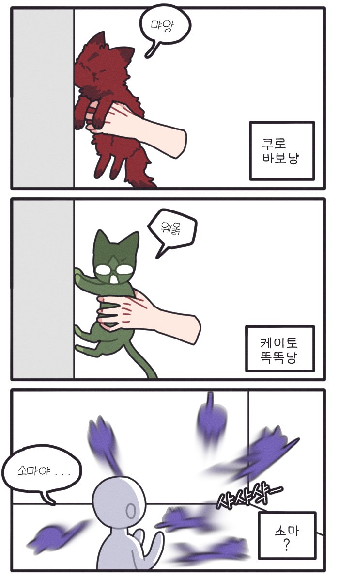 홍냥이들