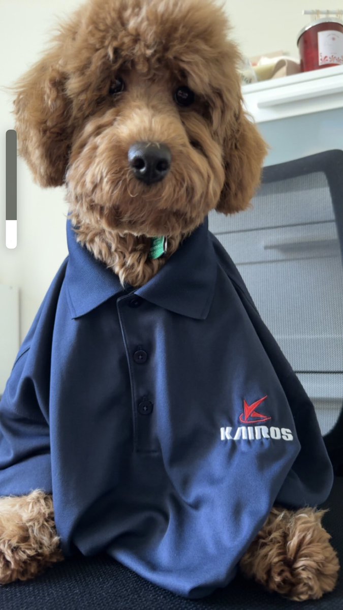 _KAIROS_inc tweet picture