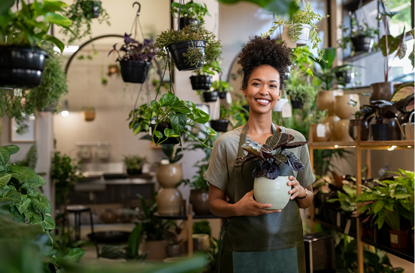buildifyCC's tweet photo. According to recent research, the global #ecommerce #plantnursery market was valued at over $10.2 billion in 2022, and it's predicted to nearly double by 2028. If you want to start selling #plants online, there are #Shopify #apps and #themes to help!
https://t.co/SZ182ET7BG https://t.co/7WPjFRJM7e